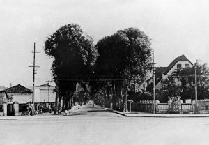 Rua Mario Ribeiro com Av. Puglise (dcada de 30)